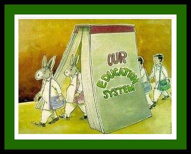 Essay on education system of pakistan